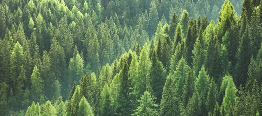 Nos ambitions écologiques